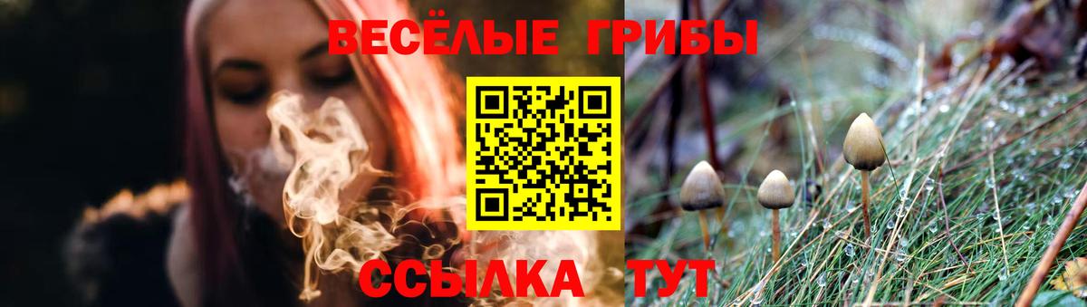 Муром  Псилоцибиновые грибы Psilocybine cubensis  Вход с VPN 